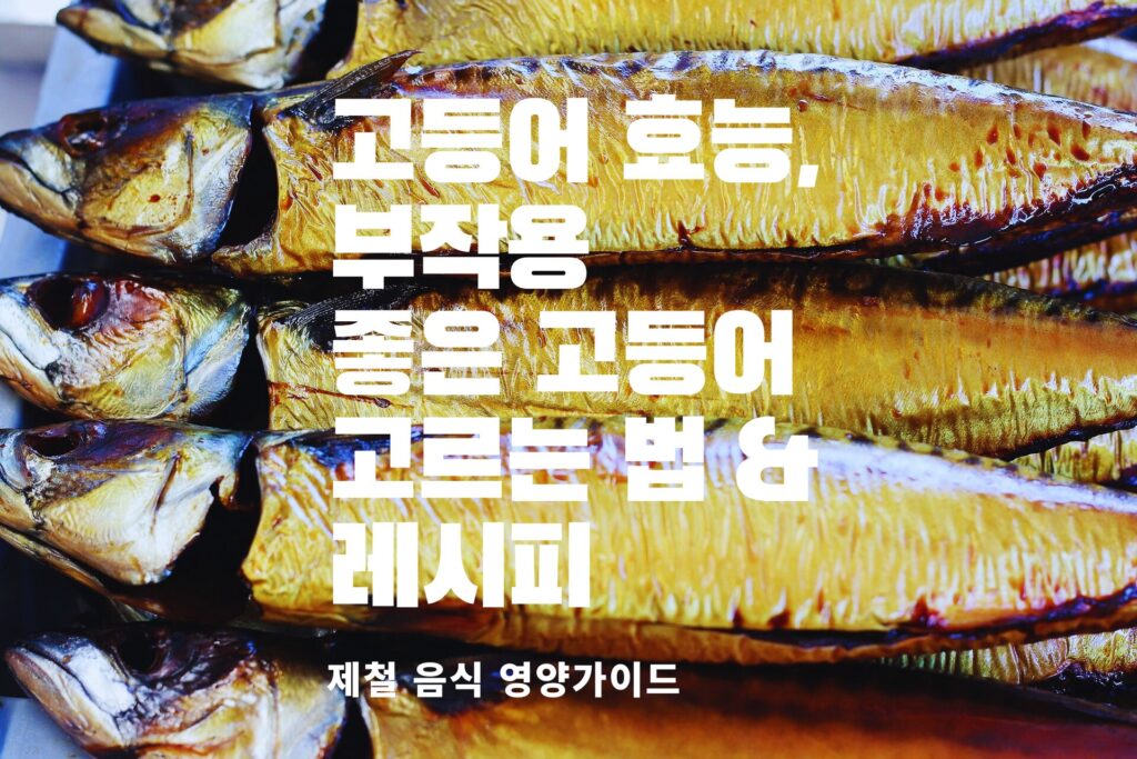 고등어 효능, 고등어 부작용, 좋은 고등어 고르는 법, 고등어 요리, 고등어
레시피