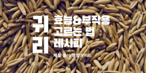귀리 효능 귀리 부작용 귀리밥 만들기 오트밀