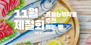 11월 제철회 제철회 추천 광어회 제철