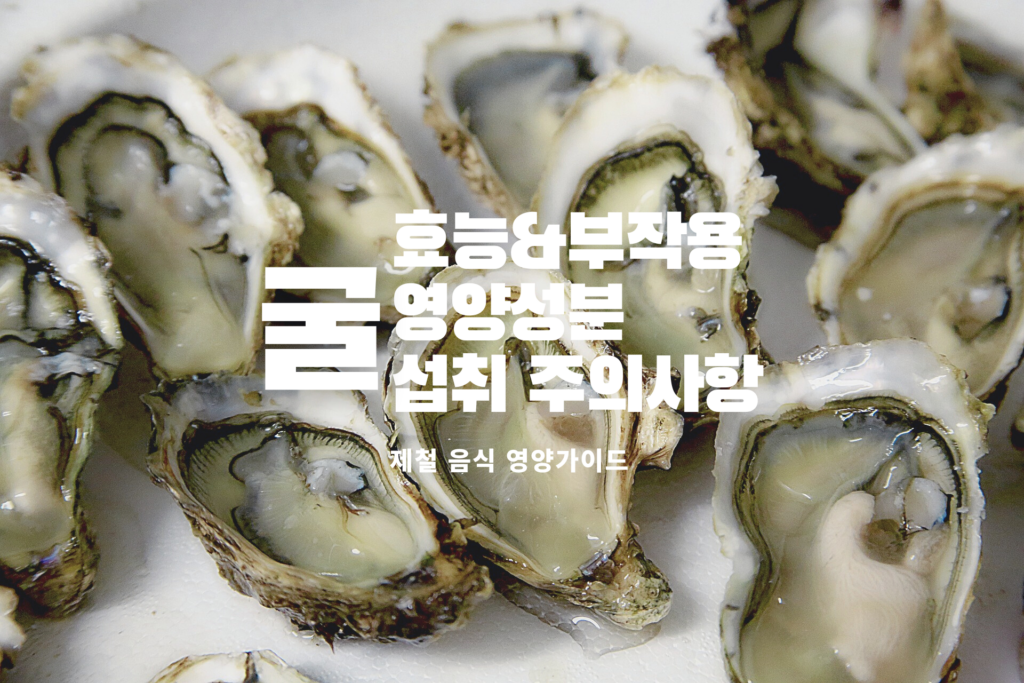 굴 효능 굴 섭취 방법 굴 노로바이러스 굴 부작용 10월 제철음식