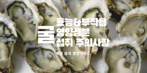 굴 효능 굴 부작용 노로바이러스 굴 제철