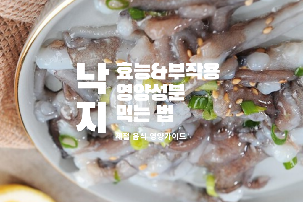 낙지 효능
9월 제철음식
낙지 부작용
낙지 영양성분
낙지볶음 레시피