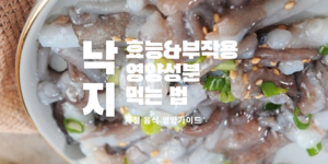 낙지 효능 낙지 부작용 낙지 영양성분 낙지 먹는 법