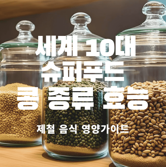 콩 효능 콩 다이어트
검은콩 효능 렌틸콩 효능 병아리콩 효능