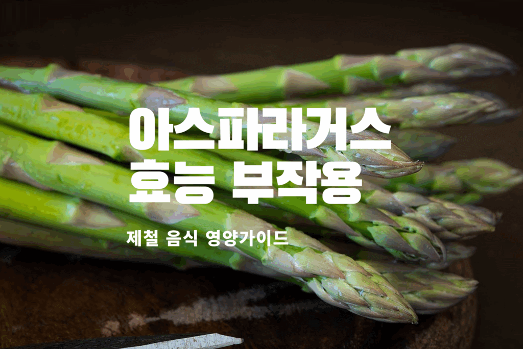 아스파라거스 아스파라거스 효능 아스파라거스 부작용 아스파라거스 레시피 아스파라거스 먹는 법