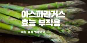 아스파라거스 아스파라거스 효능 아스파라거스 부작용 아스파라거스 레시피 아스파라거스 먹는 법